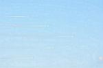 Dcim12689/DSC_9440