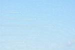 Dcim12689/DSC_9441