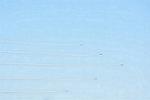 Dcim12689/DSC_9446