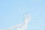 Dcim12689/DSC_9455