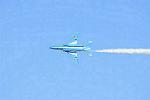 Dcim12689/DSC_9516