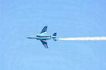 Dcim12689/DSC_9517