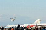 Dcim12690/DSC_9954