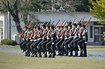Dcim12693/DSC_9414