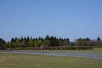 Dcim12694/DSC_0367