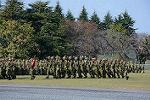 Dcim12694/DSC_0375