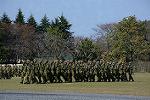 Dcim12694/DSC_0376