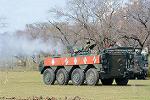 Dcim12699/DSC_1006