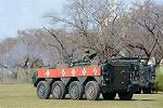 Dcim12699/DSC_1051