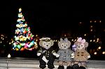Dcim12706/DSC_9966