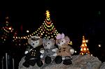 Dcim12707/DSC_0008