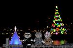 Dcim12707/DSC_0036