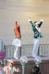 Dcim12711/DSC_2206