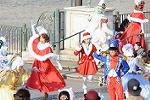 Dcim12711/DSC_2239