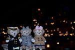 Dcim12715/DSC_2854