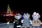 Dcim12716/DSC_3049
