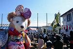 Dcim12721/DSC_3753