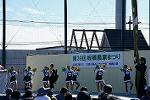Dcim12721/DSC_3805