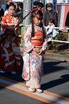 Dcim12725/DSC_4277