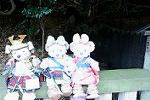 Dcim12726/DSC_4365