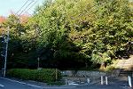 Dcim12726/DSC_4382