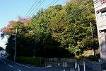 Dcim12726/DSC_4383