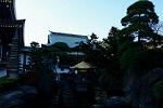Dcim12726/DSC_4432