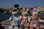 Dcim12729/DSC_0193