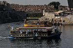 Dcim12729/DSC_0202