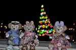 Dcim12730/DSC_0315