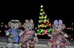 Dcim12730/DSC_0316
