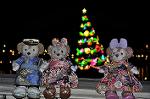 Dcim12730/DSC_0317