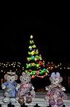 Dcim12730/DSC_0320
