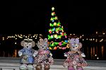 Dcim12730/DSC_0324