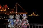Dcim12730/DSC_0330