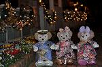 Dcim12730/DSC_0345