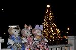 Dcim12730/DSC_0370