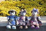 Dcim12731/DSC_4670