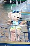 Dcim12737/DSC_5623