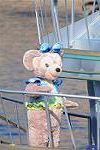 Dcim12737/DSC_5629