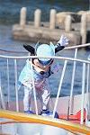 Dcim12738/DSC_5753