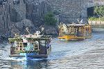 Dcim12741/DSC_6217