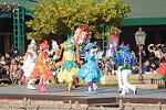Dcim12741/DSC_6256