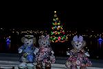 Dcim12746/DSC_7032