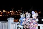 Dcim12747/DSC_7071