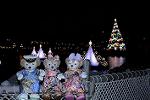 Dcim12747/DSC_7204