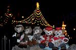 Dcim12751/DSC_0531