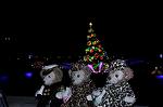Dcim12752/DSC_0694