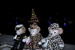 Dcim12752/DSC_0695