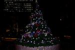 Dcim12766/DSC_9709